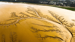 Dépannage Chauffe-Eau Coudekerque-Branche